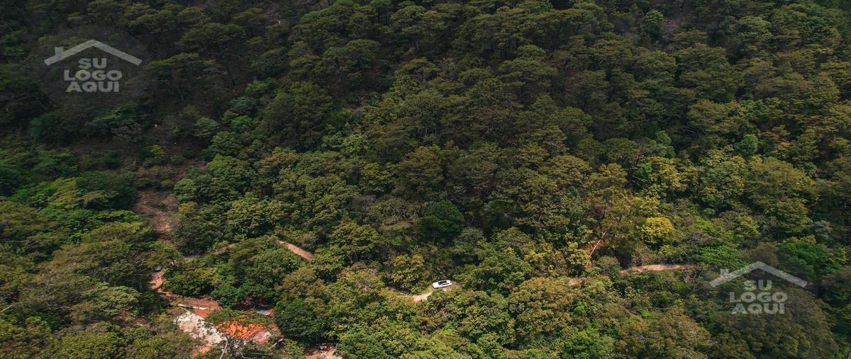 Foto de terreno habitacional en venta en  , san sebastián del oeste, san sebastián del oeste, jalisco, 30643756 No. 03