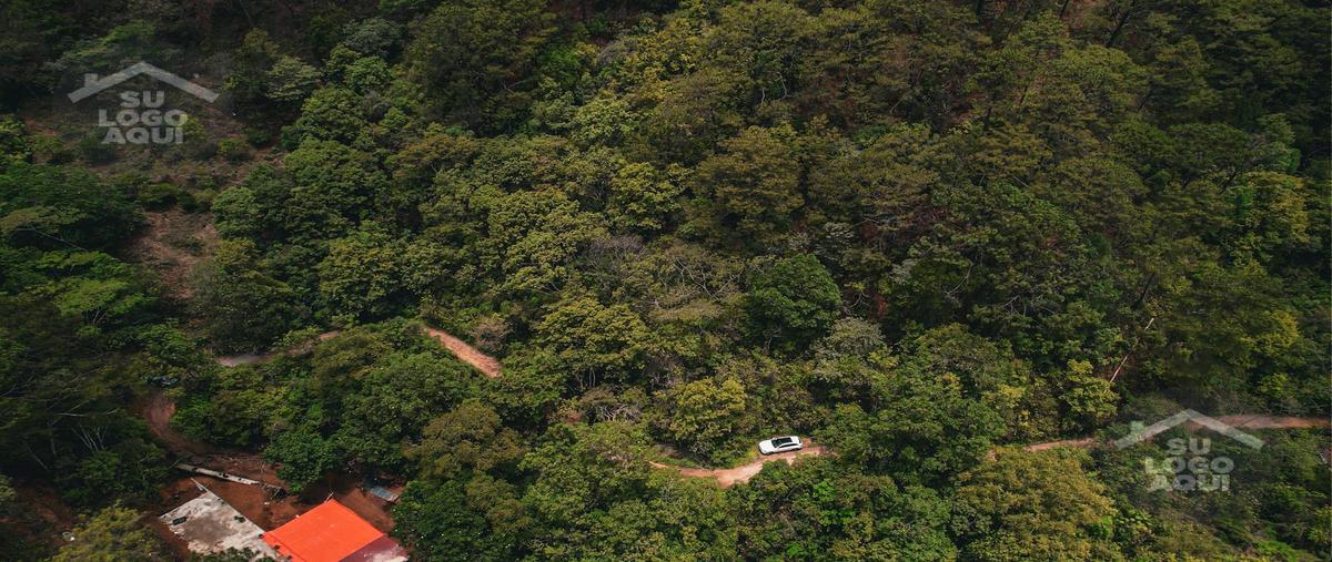 Foto de terreno habitacional en venta en  , san sebastián del oeste, san sebastián del oeste, jalisco, 30643756 No. 04