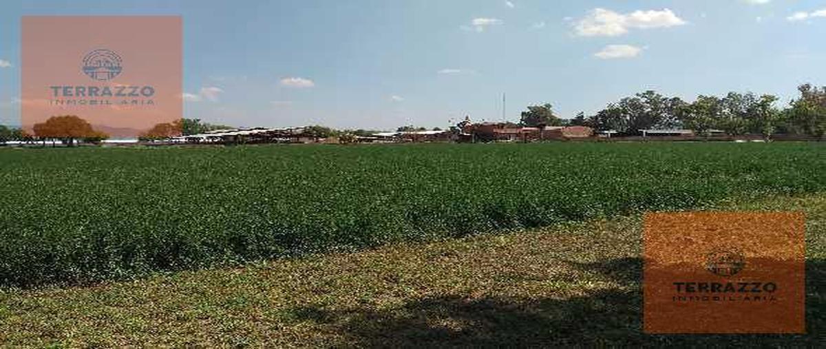 Foto de terreno habitacional en venta en  , san sebastián del salitre, san josé iturbide, guanajuato, 22467837 No. 03