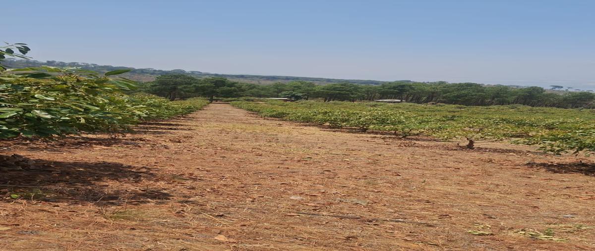Foto de rancho en venta en san sebastián del sur , san sebastián del sur, gómez farías, jalisco, 0 No. 01