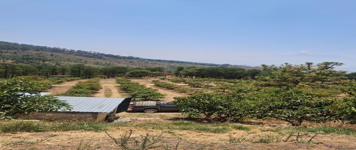Foto de rancho en venta en san sebastián del sur , san sebastián del sur, gómez farías, jalisco, 0 No. 02