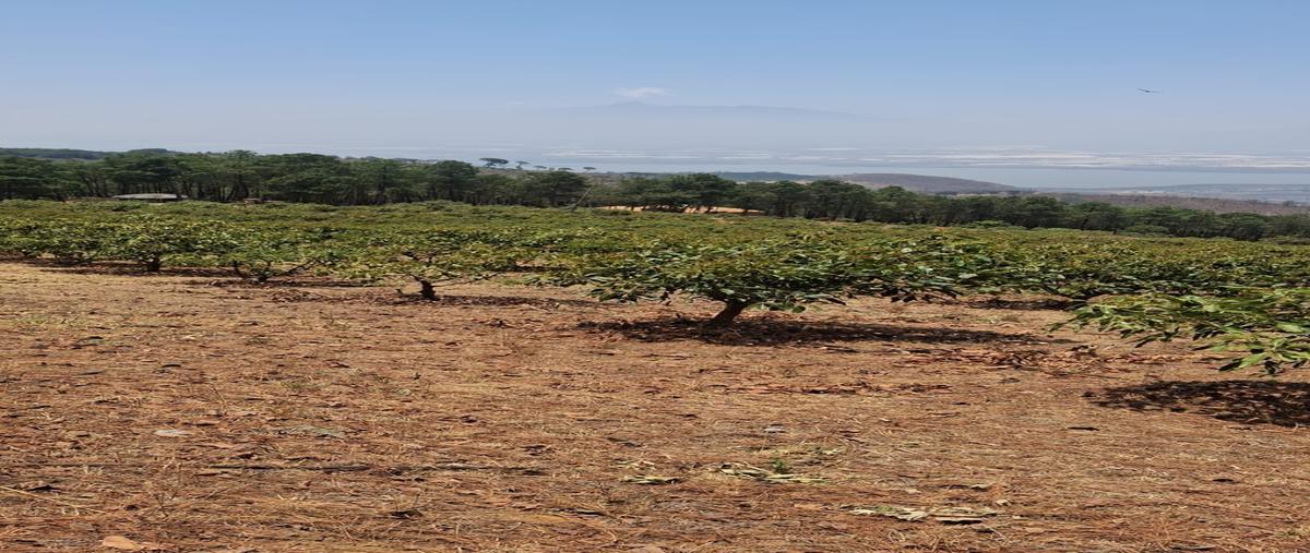 Foto de rancho en venta en san sebastián del sur , san sebastián del sur, gómez farías, jalisco, 0 No. 04