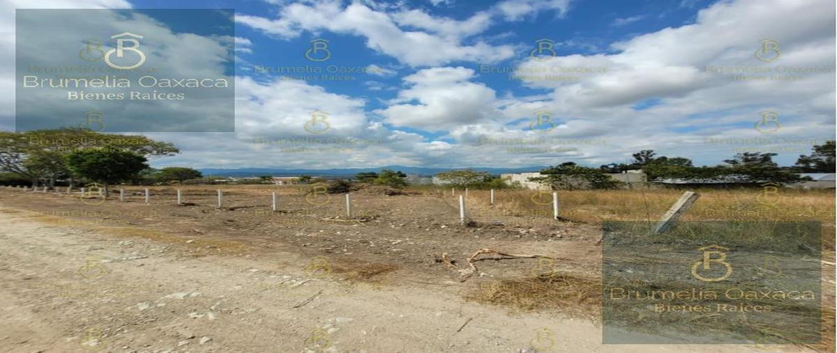Foto de terreno habitacional en , san sebastián etla, san pablo etla, oaxaca, 27846218 foto 05 Foto de terreno habitacional en venta en , san sebastián etla, san pablo etla, oaxaca, 27846218 No. 05