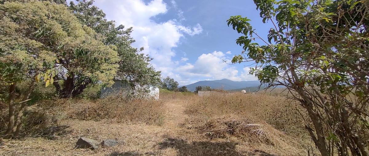 Foto de terreno habitacional en , san sebastián etla, san pablo etla, oaxaca, 0 foto 05 Foto de terreno habitacional en venta en , san sebastián etla, san pablo etla, oaxaca, 0 No. 05