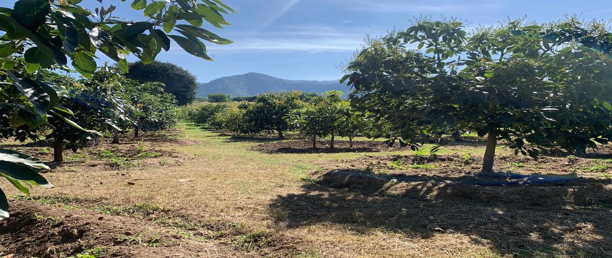 Foto de terreno habitacional en venta en  , san sebástian, malinalco, méxico, 0 No. 04