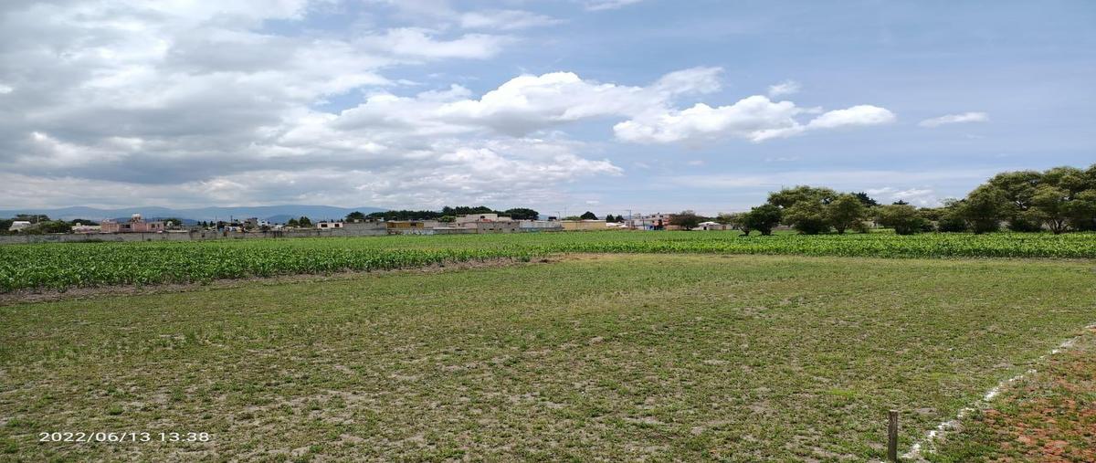 Foto de terreno habitacional en venta en  , san sebastián, metepec, méxico, 0 No. 05