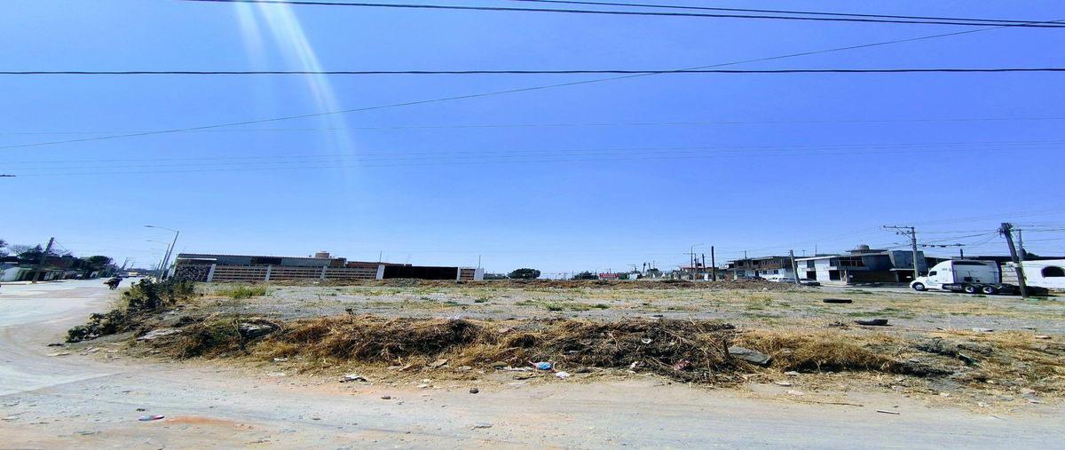 Foto de terreno habitacional en venta en  , san sebastián tepalcatepec, san pedro cholula, puebla, 0 No. 05