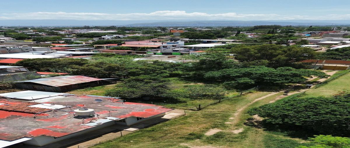 Foto de terreno habitacional en venta en  , san sebastián tutla, san sebastián tutla, oaxaca, 0 No. 04