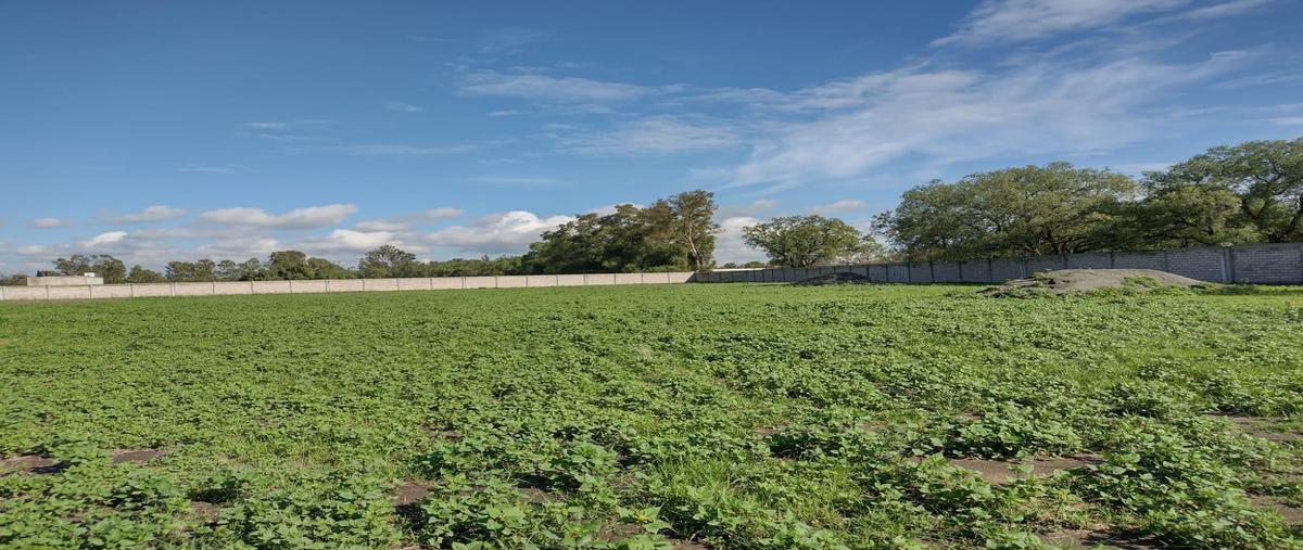Foto de terreno habitacional en venta en  , san sebastián, zumpango, méxico, 0 No. 03