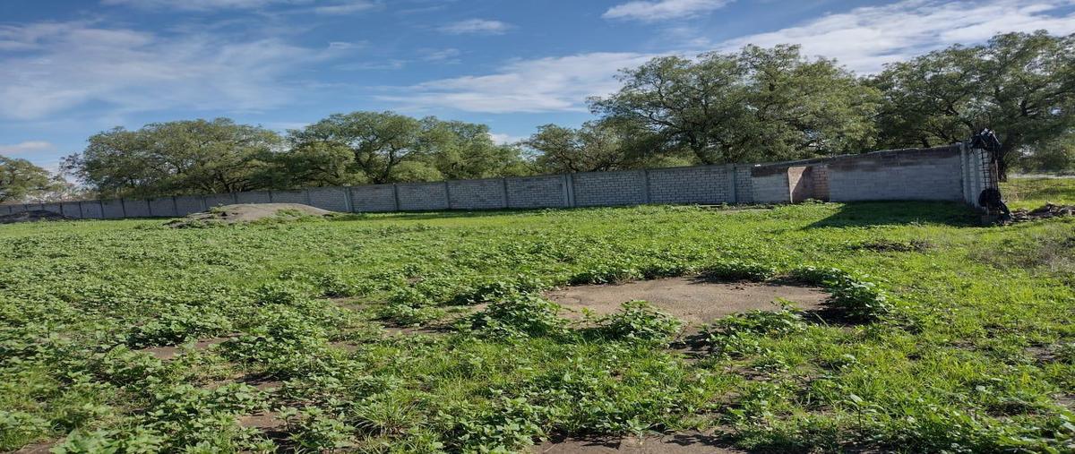 Foto de terreno habitacional en venta en  , san sebastián, zumpango, méxico, 0 No. 04