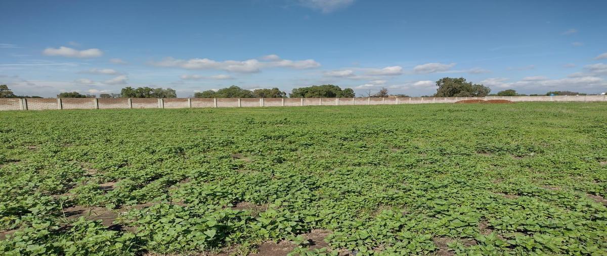 Foto de terreno habitacional en venta en  , san sebastián, zumpango, méxico, 0 No. 05