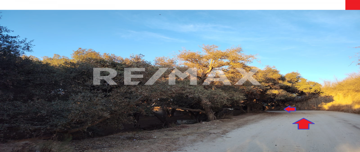 Foto de terreno habitacional en venta en san simon , ejido ruiz cortines, ensenada, baja california, 28888053 No. 05