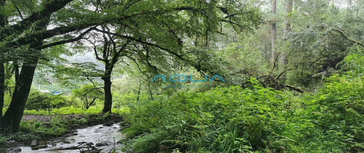 Foto de terreno habitacional en san simón el alto , rincón villa del valle, valle de bravo, méxico, 25318091 foto 01 Foto de terreno habitacional en venta en san simón el alto , rincón villa del valle, valle de bravo, méxico, 25318091 No. 01