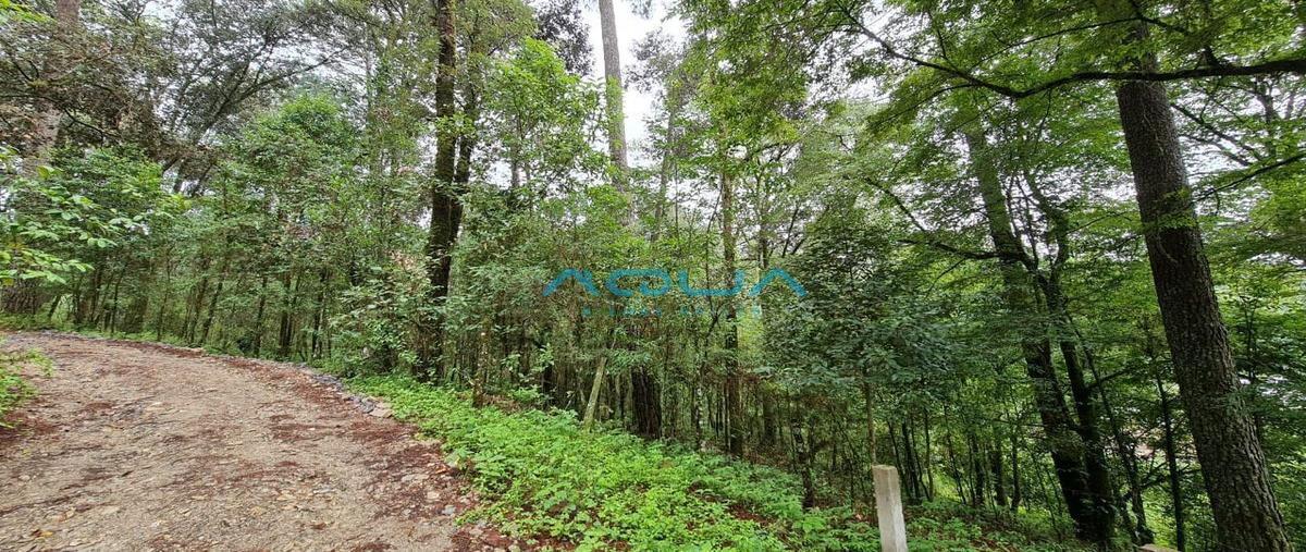 Foto de terreno habitacional en san simón el alto , rincón villa del valle, valle de bravo, méxico, 25318091 foto 04 Foto de terreno habitacional en venta en san simón el alto , rincón villa del valle, valle de bravo, méxico, 25318091 No. 04