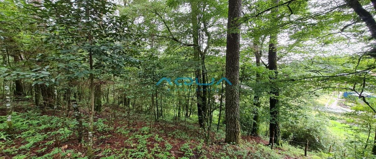 Foto de terreno habitacional en san simón el alto , rincón villa del valle, valle de bravo, méxico, 25318091 foto 05 Foto de terreno habitacional en venta en san simón el alto , rincón villa del valle, valle de bravo, méxico, 25318091 No. 05