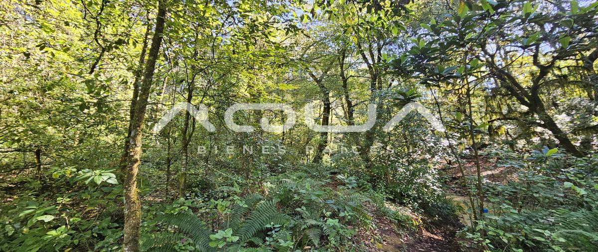 Foto de terreno habitacional en venta en san simón el alto , san simón el alto, valle de bravo, méxico, 25318095 No. 03