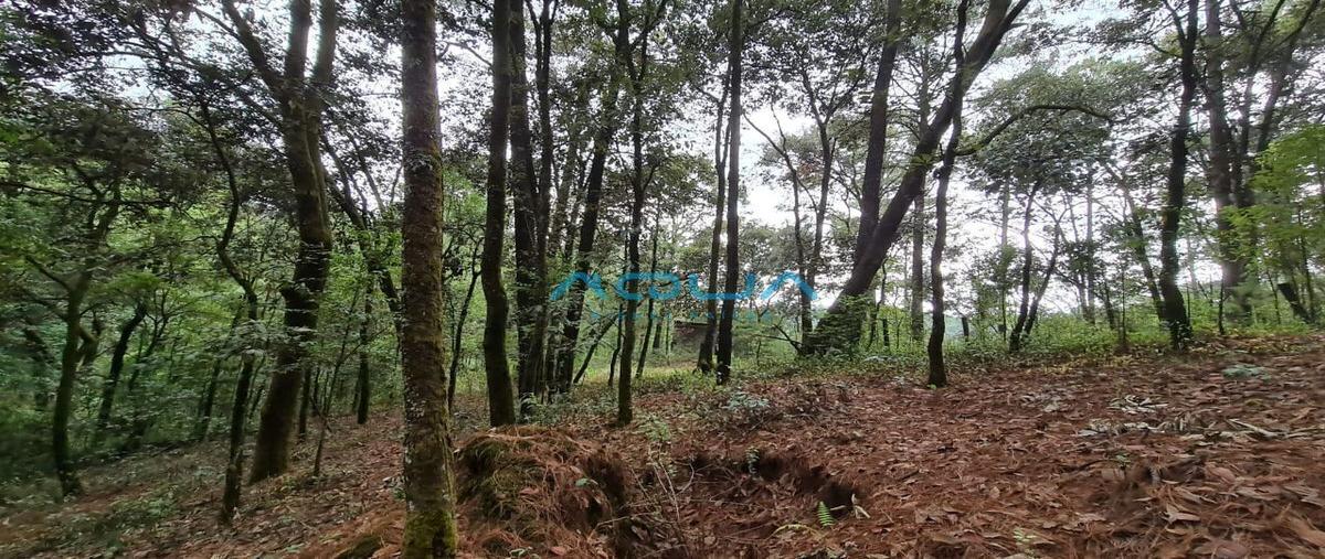 Foto de terreno habitacional en venta en san simón el alto , san simón el alto, valle de bravo, méxico, 25318095 No. 04