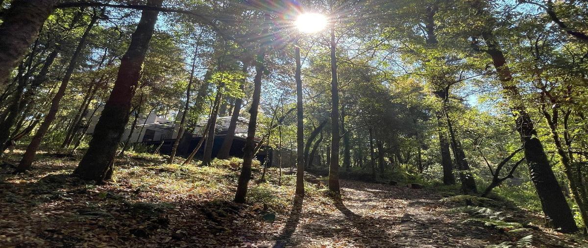 Foto de casa en renta en san simon el alto , san simón el alto, valle de bravo, méxico, 26939214 No. 05