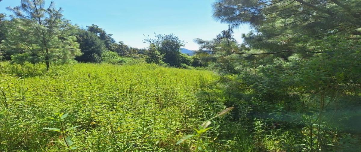 Foto de terreno comercial en venta en san simón el alto , san simón el alto, valle de bravo, méxico, 28170950 No. 03