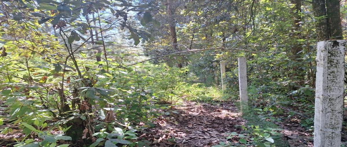 Foto de terreno comercial en venta en san simón el alto , san simón el alto, valle de bravo, méxico, 28170950 No. 04