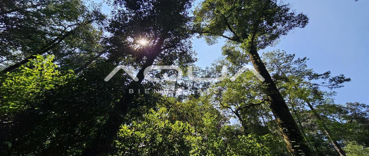 Foto de terreno habitacional en san simon el alto , san simón el alto, valle de bravo, méxico, 0 foto 01 Foto de terreno habitacional en venta en san simon el alto , san simón el alto, valle de bravo, méxico, 0 No. 01