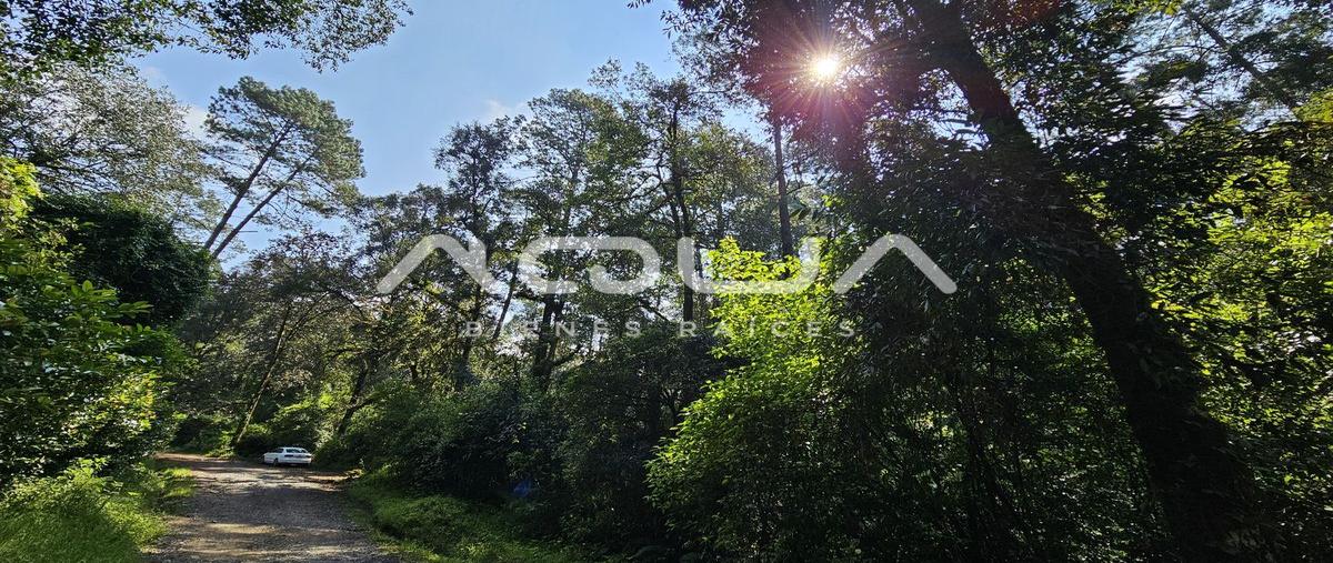 Foto de terreno habitacional en san simon el alto , san simón el alto, valle de bravo, méxico, 0 foto 02 Foto de terreno habitacional en venta en san simon el alto , san simón el alto, valle de bravo, méxico, 0 No. 02