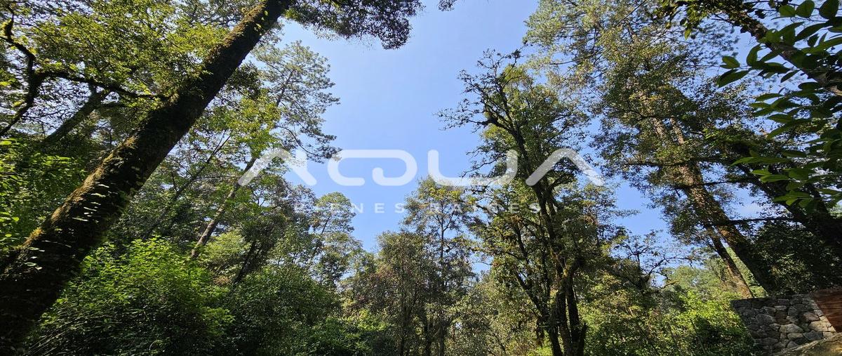 Foto de terreno habitacional en san simon el alto , san simón el alto, valle de bravo, méxico, 0 foto 03 Foto de terreno habitacional en venta en san simon el alto , san simón el alto, valle de bravo, méxico, 0 No. 03