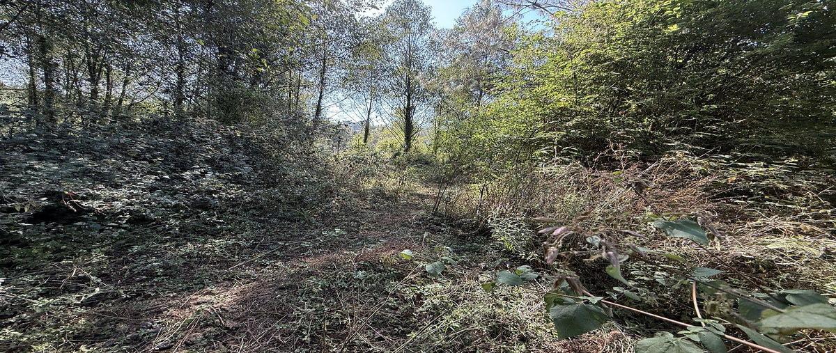 Foto de terreno habitacional en venta en san simón el alto , san simón el alto, valle de bravo, méxico, 0 No. 04