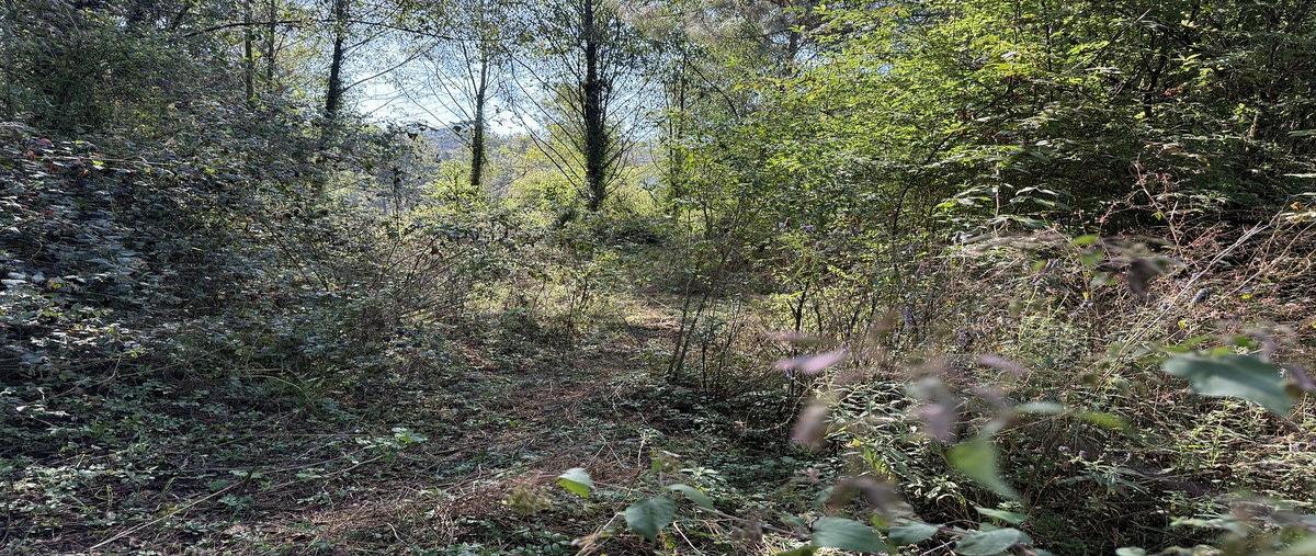 Foto de terreno habitacional en venta en san simón el alto , san simón el alto, valle de bravo, méxico, 0 No. 07
