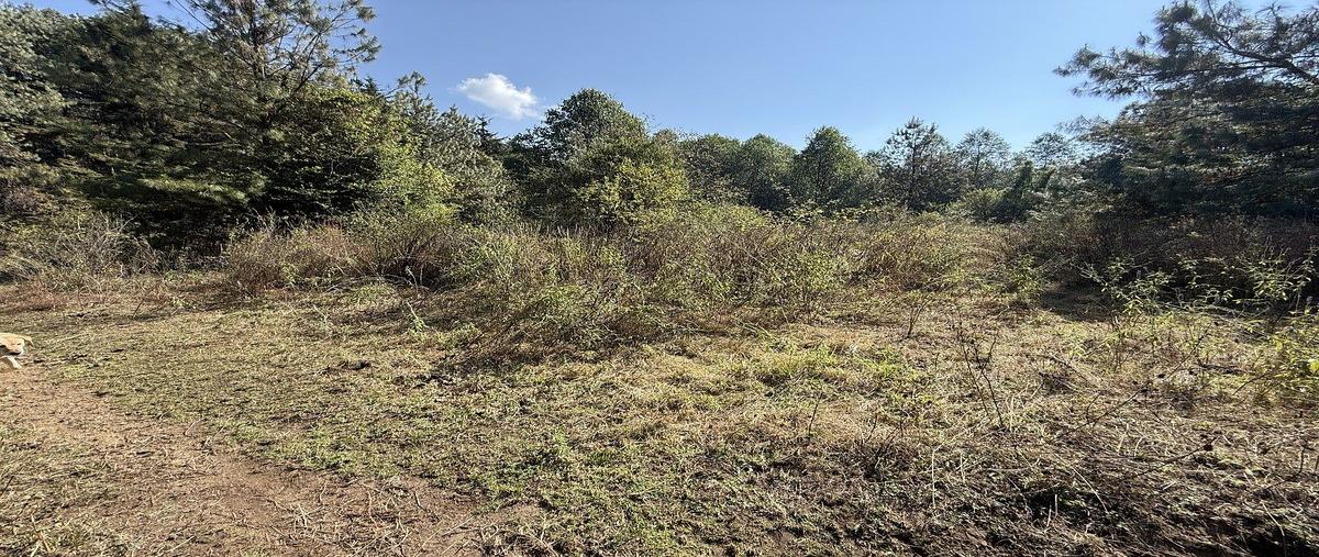 Foto de terreno habitacional en venta en san simón el alto , san simón el alto, valle de bravo, méxico, 0 No. 08