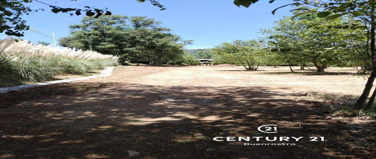 Foto de terreno habitacional en venta en san simón el alto , san simón el alto, valle de bravo, méxico, 31071132 No. 04