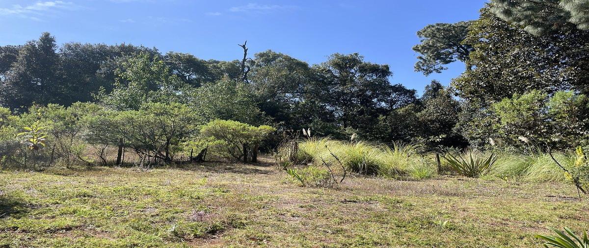 Foto de casa en renta en san simón el alto , san simón el alto, valle de bravo, méxico, 31082206 No. 05