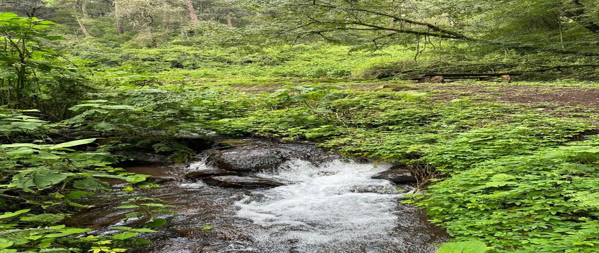 Foto de terreno habitacional en venta en san simón el alto , tenantongo, valle de bravo, méxico, 28547525 No. 03