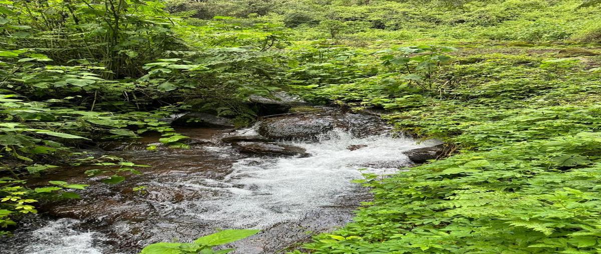 Foto de terreno habitacional en venta en san simón el alto , tenantongo, valle de bravo, méxico, 28547525 No. 05
