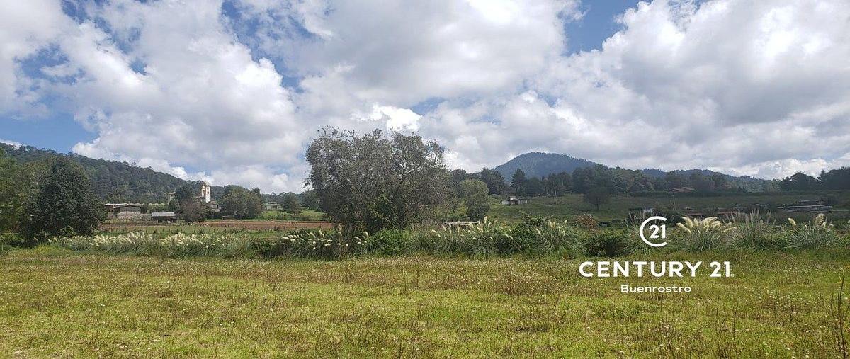 Foto de terreno habitacional en venta en  , san simón el alto, valle de bravo, méxico, 23520265 No. 03