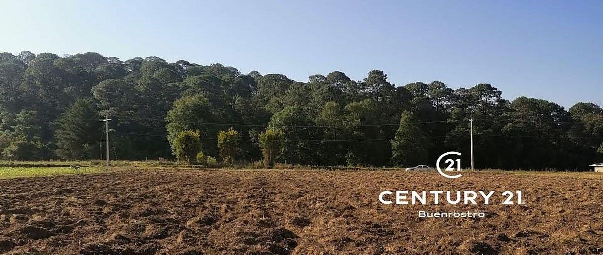 Foto de terreno habitacional en venta en  , san simón el alto, valle de bravo, méxico, 24830707 No. 05