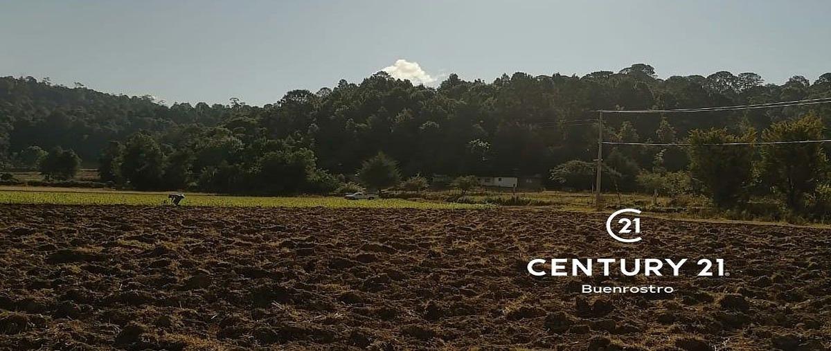 Foto de terreno habitacional en venta en  , san simón el alto, valle de bravo, méxico, 24830707 No. 06