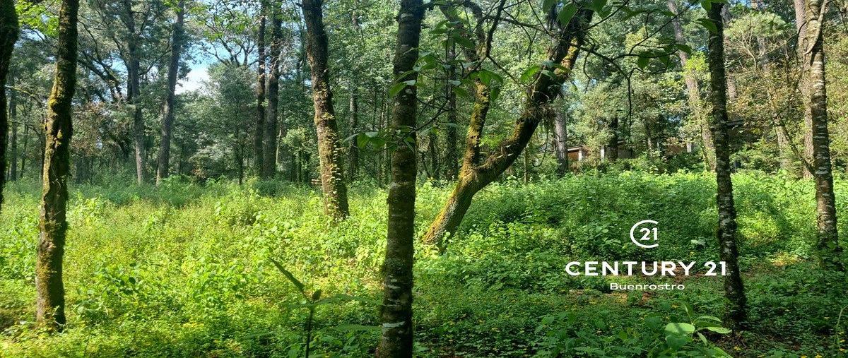 Foto de terreno habitacional en , san simón el alto, valle de bravo, méxico, 24981617 foto 02 Foto de terreno habitacional en venta en , san simón el alto, valle de bravo, méxico, 24981617 No. 02