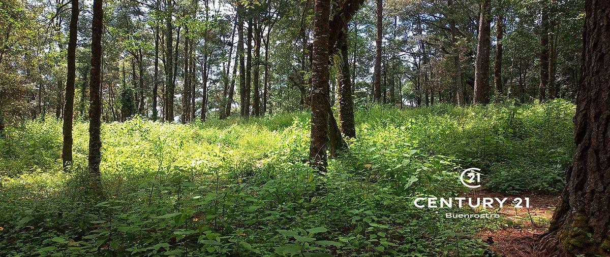 Foto de terreno habitacional en , san simón el alto, valle de bravo, méxico, 24981617 foto 03 Foto de terreno habitacional en venta en , san simón el alto, valle de bravo, méxico, 24981617 No. 03