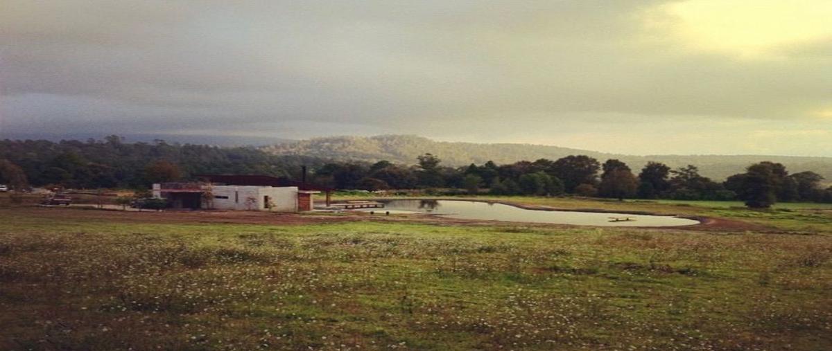 Foto de terreno habitacional en venta en  , san simón el alto, valle de bravo, méxico, 26252811 No. 03