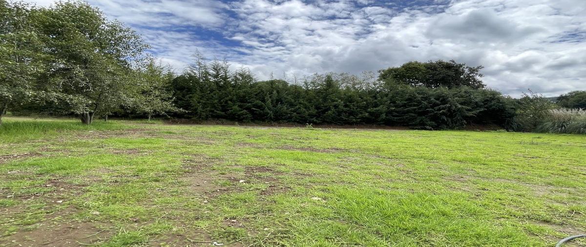 Foto de terreno habitacional en venta en  , san simón el alto, valle de bravo, méxico, 30066806 No. 03