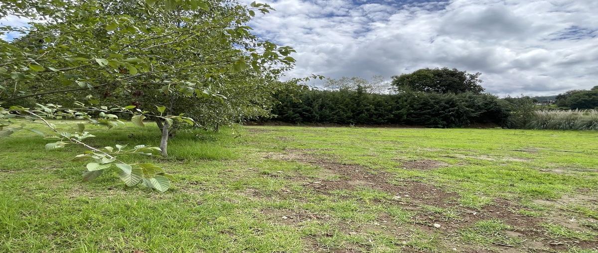 Foto de terreno habitacional en venta en  , san simón el alto, valle de bravo, méxico, 30066806 No. 04