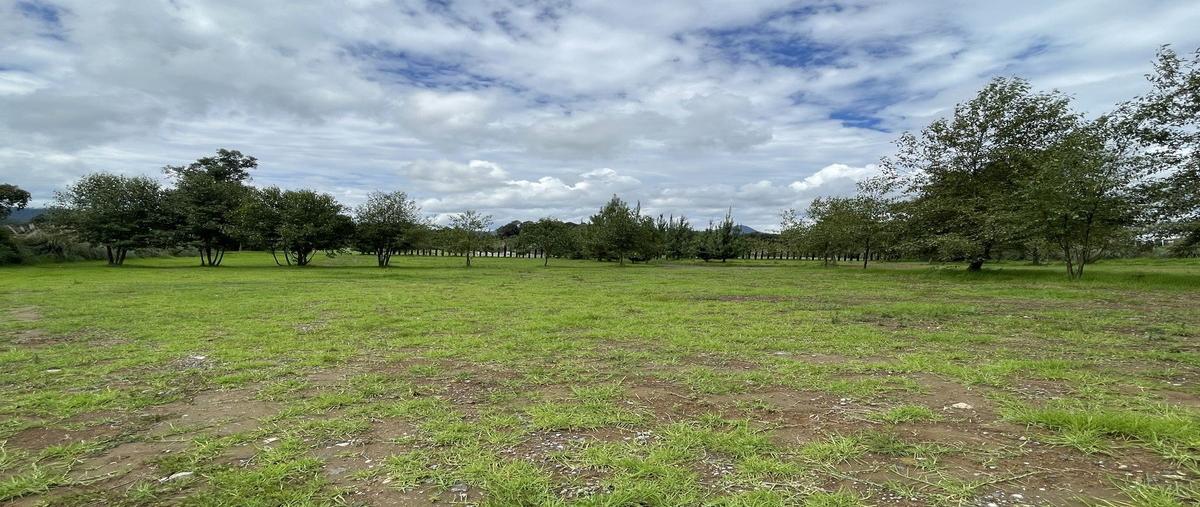 Foto de terreno habitacional en venta en  , san simón el alto, valle de bravo, méxico, 30066806 No. 05