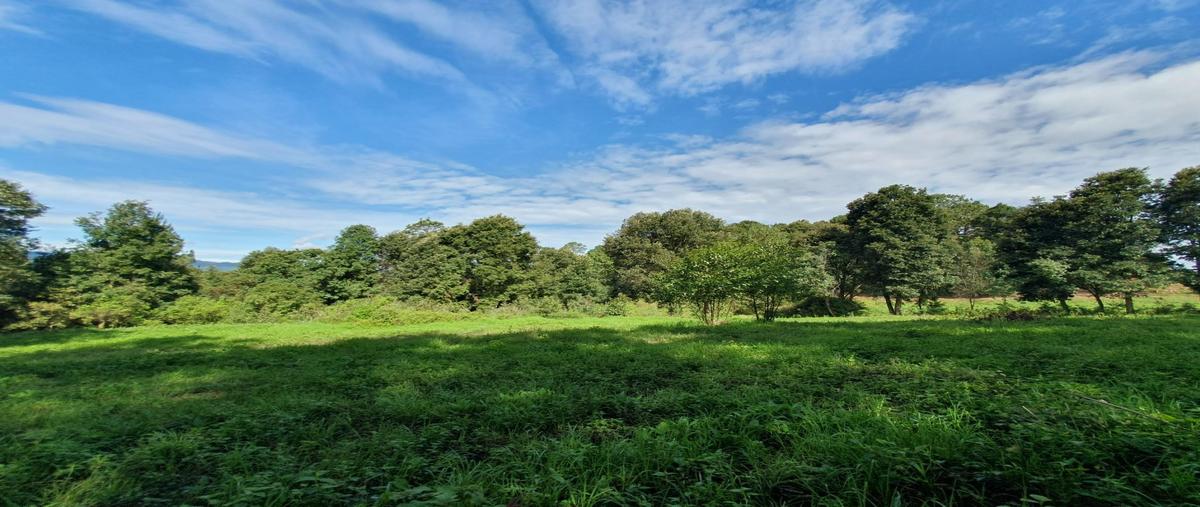 Foto de terreno habitacional en venta en  , san simón el alto, valle de bravo, méxico, 0 No. 03