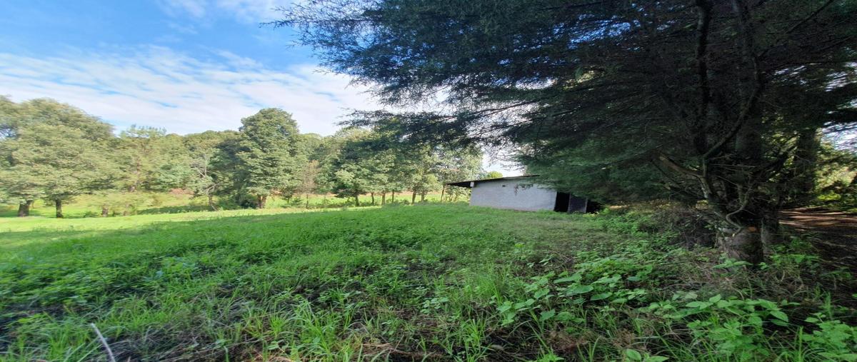 Foto de terreno habitacional en venta en  , san simón el alto, valle de bravo, méxico, 0 No. 05