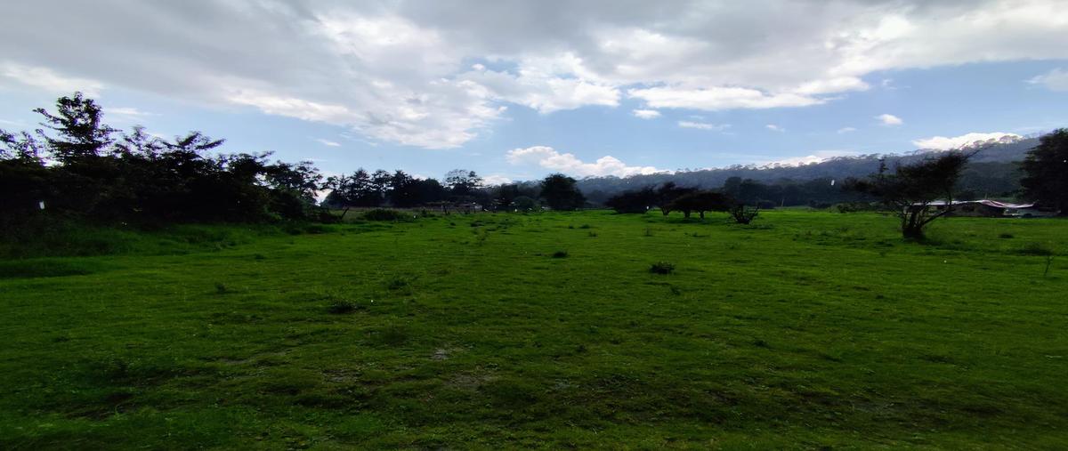 Foto de terreno habitacional en venta en  , san simón el alto, valle de bravo, méxico, 0 No. 03