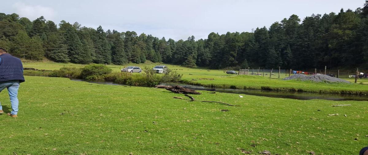 Foto de terreno habitacional en venta en  , san simón el alto, valle de bravo, méxico, 0 No. 04