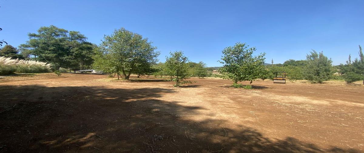 Foto de terreno habitacional en venta en  , san simón el alto, valle de bravo, méxico, 0 No. 04