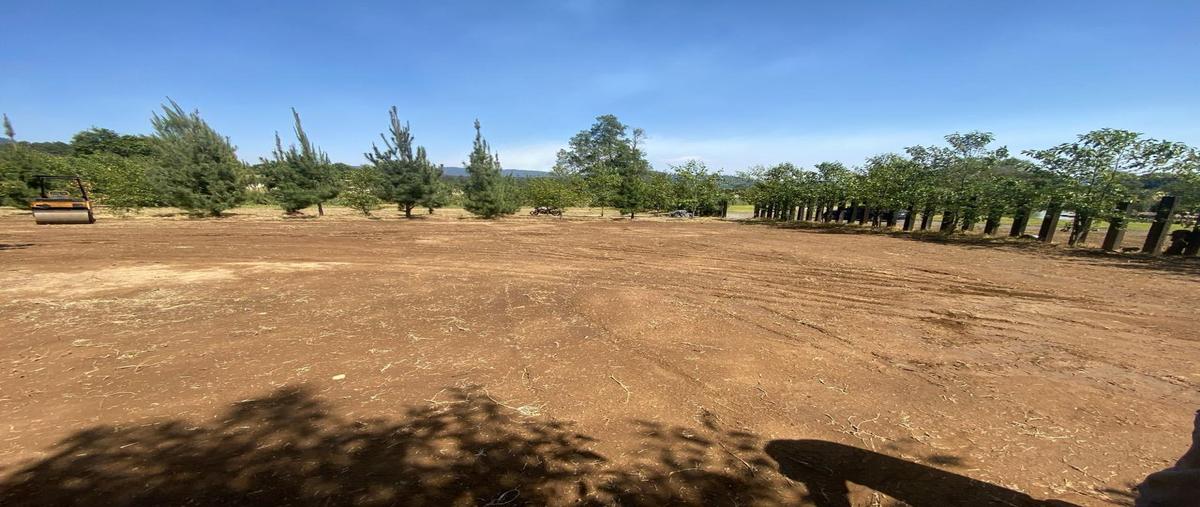 Foto de terreno habitacional en venta en  , san simón el alto, valle de bravo, méxico, 0 No. 05