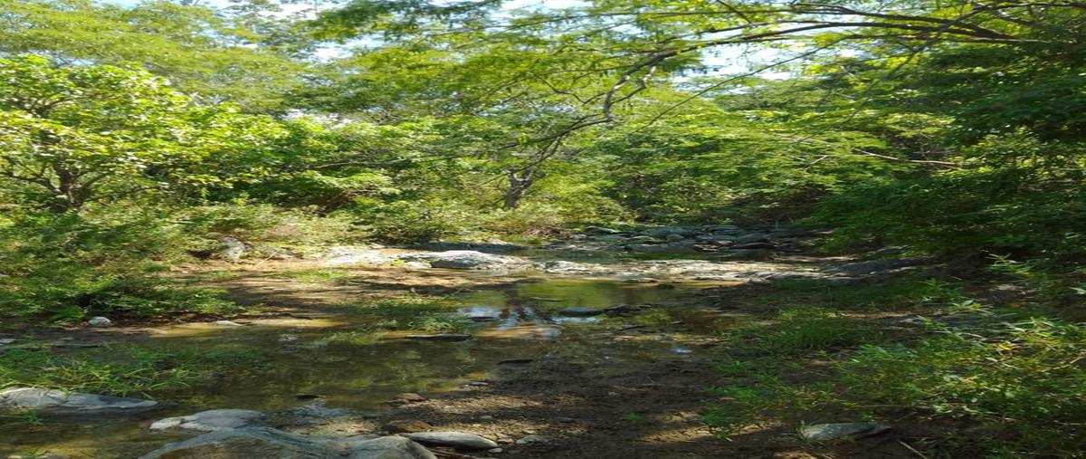 Foto de terreno habitacional en venta en  , san simón, la paz, baja california sur, 0 No. 05